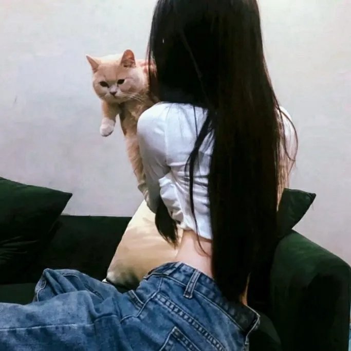 杀出个黎明
